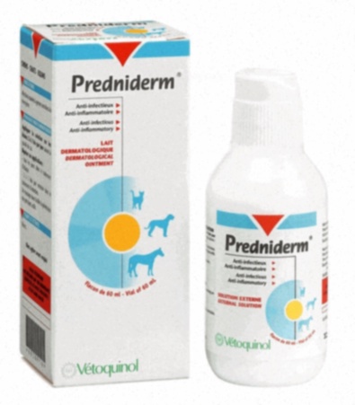 prednisolone